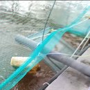 인성수산 이미지