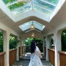 학암포한스하우스 이미지