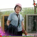 부용당별 이미지