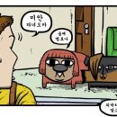 류카츠 이미지