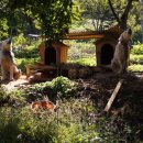 숲속농장 이미지