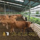 신박축산