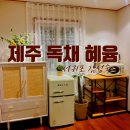 제주 서귀포 감성 독채 에어비앤비 혜윰 내돈내산 후기