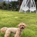 위클라드 펜션 이미지