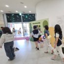 임실 장미꽃축제｜기대가 컸던 만큼 아쉬움도...