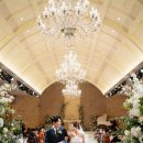 W 스퀘어 이미지