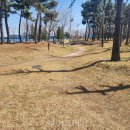 청초호유원지(남측) 이미지