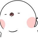 도그매니아 이미지