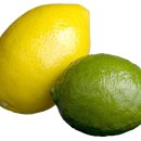라임 이미지