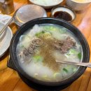 영천곰탕 | [경북/영천] 영천 소머리곰탕 맛집‘희락식당’ 희락곰탕 후기