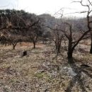 부용농장 이미지