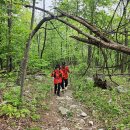 2026년 04월 25일 - Keys Gap Trail (David Lesser Memorial Shelter) 이미지