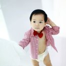 순수베이비 Daum카페