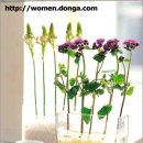 아름답개 이미지