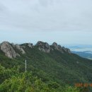 버스정류장(노인종합복지관 앞) 이미지