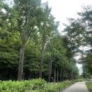 경성고등학교 | 연남동 연남살롱 말차화이트초콜릿빙수 내돈내산 후기(웨이팅정보)
