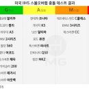 미국IHS에서 실시한 자동차 국소부위 충돌 테스트 결과 이미지