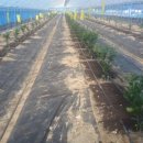 이재권농장 이미지