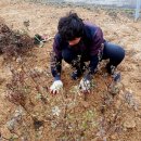 화목정류장 이미지