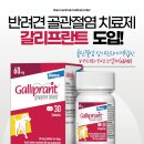 바른반려견센터 이미지