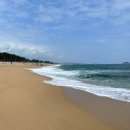 바다정원 이미지