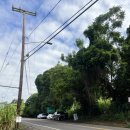 뉴캡틴짐 | 스맄코 쀼의 하와이 코나 신혼여행_걸어서 가는 지옥의 트래킹 캡틴쿡 스노클링 스팟