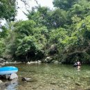 잣나무산장 이미지