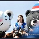 킹코리아