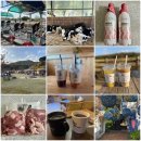 왕매실마을 | 충남여행 꿀템! 충남투어패스로 알차게 즐기기