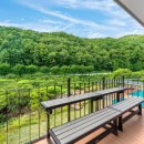 라비타키즈풀빌라 이미지