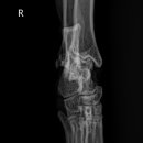 오아시스 정형외과 신경외과 동물병원 이미지
