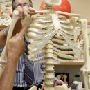 통증 잡는 마사지볼 이미지