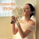 관-비-4-1호 | 광주 헤이허니 1호점 웨딩포토 실내스튜디오 오전 촬영후기 파트 2 시안 공유, 원본 구매