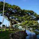 수산리-15 이미지