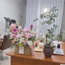 미소담미용실 네이버블로그