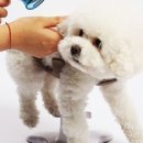 (주)발상코퍼레이션 이미지