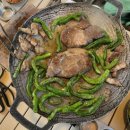 포레스트가든 | [포레스트 가든 내돈내산후기]