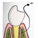 드림S치과의원 이미지