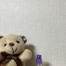 랑세 향수 6종 후기!