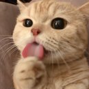 와따PC 이미지