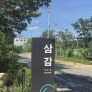 충렬로 | 양산 카페 삼감커피 반려동물과 함께 즐기는 캠핑형 힐링 카페 후기
