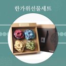 도리팩토리 네이버블로그