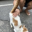 강릉바다마켓