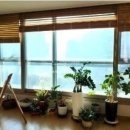 신포동사무소 이미지