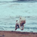 하릅펜션 이미지