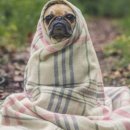 스몰플러스 이미지