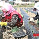 미암1리 이미지