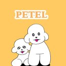 연송호텔 | 청주 엔포드호텔 5성급 애견 동반 펫캉스 페텔 예약