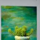 메르세리아