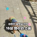 밤가시공원 이미지